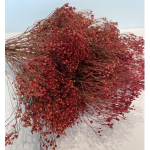 Broom Bloom ροζ pp0924004 Broom Bloom ροζ pp0924004