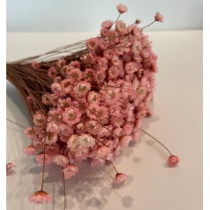 Γλίξια glixia ροζ pp0943004 Γλίξια glixia ροζ pp0943004