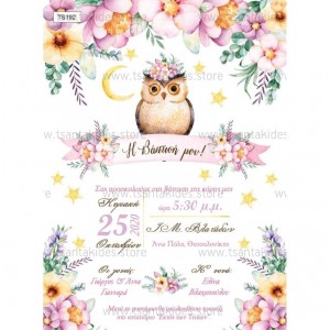 Κουκουβάγια προσκλητήριο βάπτισης ts192