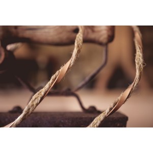 Επίχρυσα στέφανα γάμου 553