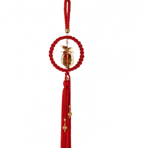 Γούρι 2024 ρόδι κόκκινο Γούρι 2024 ρόδι κόκκινο