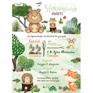 Προσκλητήριο βάπτισης ζωάκια του δάσους TS433 Προσκλητήριο βάπτισης ζωάκια του δάσους TS433